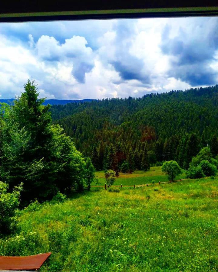 Садиба У Пані Марії Vorokhta Esterno foto