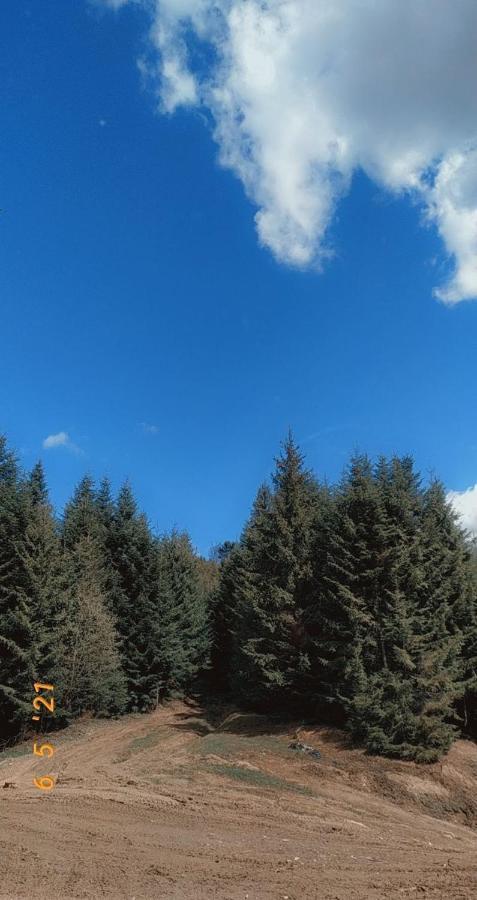 Садиба У Пані Марії Vorokhta Esterno foto